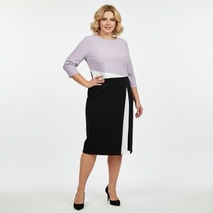 Business Casual Pencil Skirt Purple & Black Zip Back size Large Sunday Dress